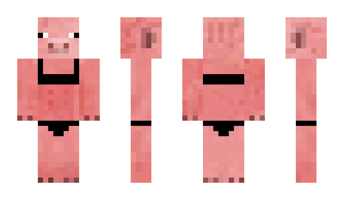 apsolute_numpty Minecraft Skin