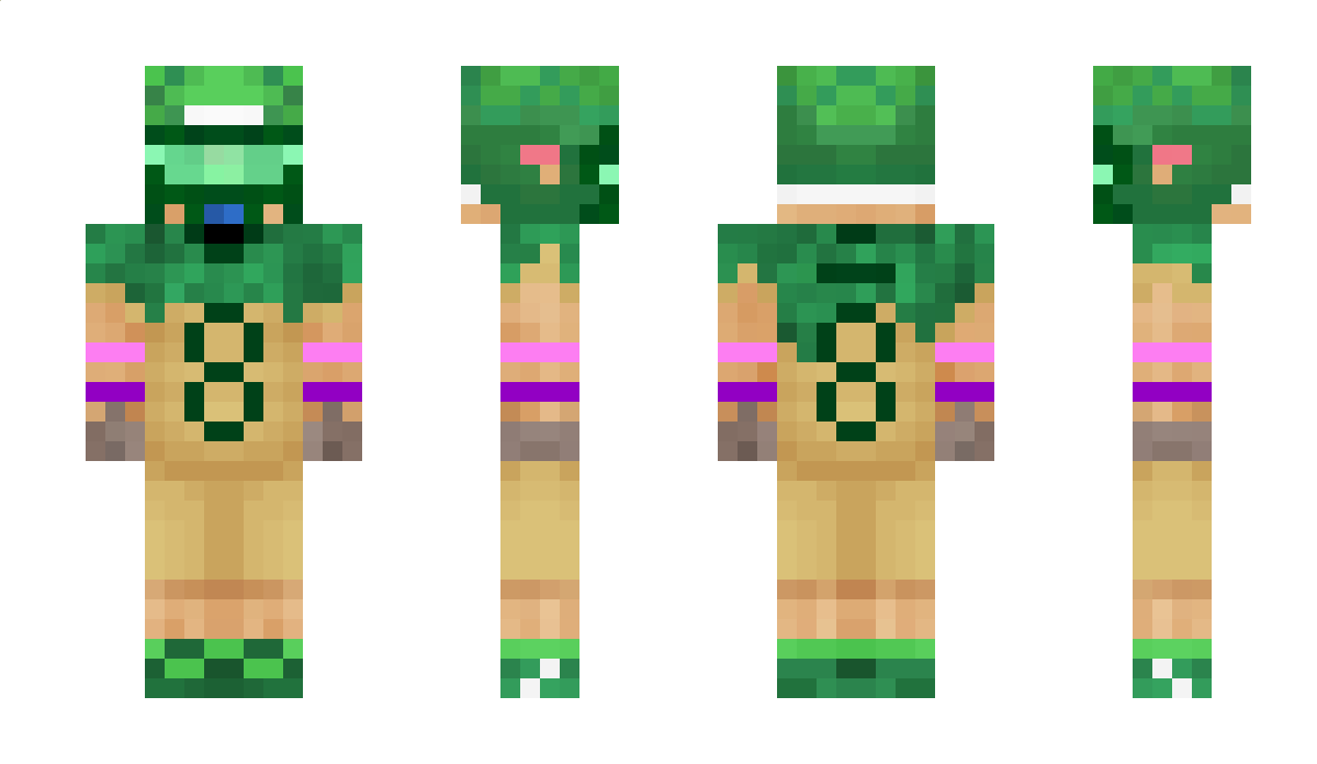 Raccnn Minecraft Skin