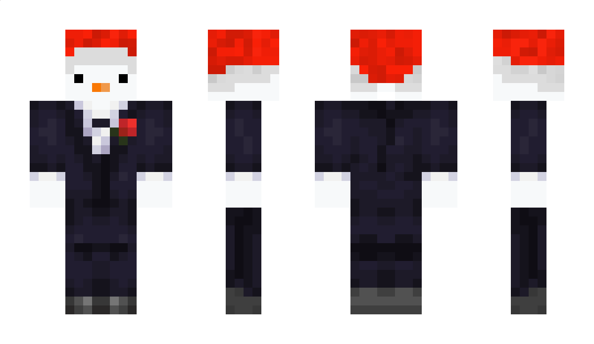 Schneefrei Minecraft Skin