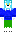 J_Fox1 Minecraft Skin