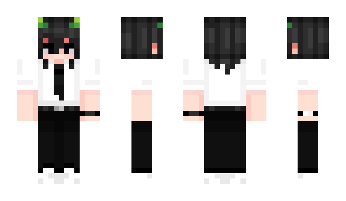 AshWeeb Minecraft Skin