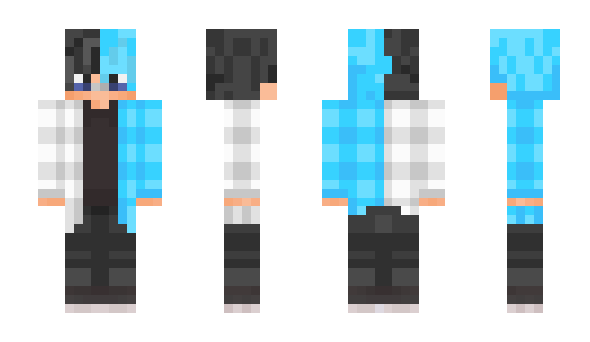 MagicDonky Minecraft Skin