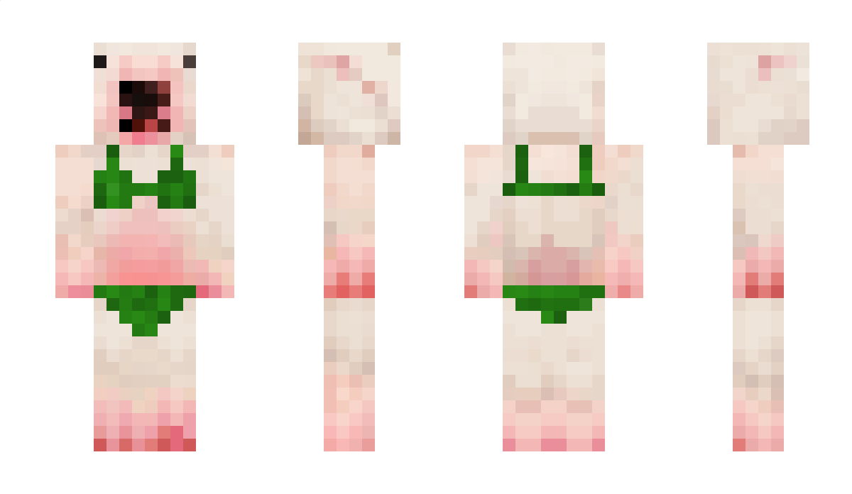 Silkerules Minecraft Skin