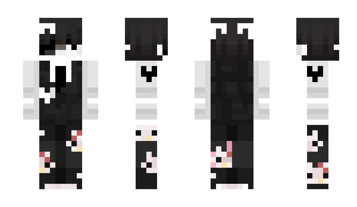 hisv Minecraft Skin