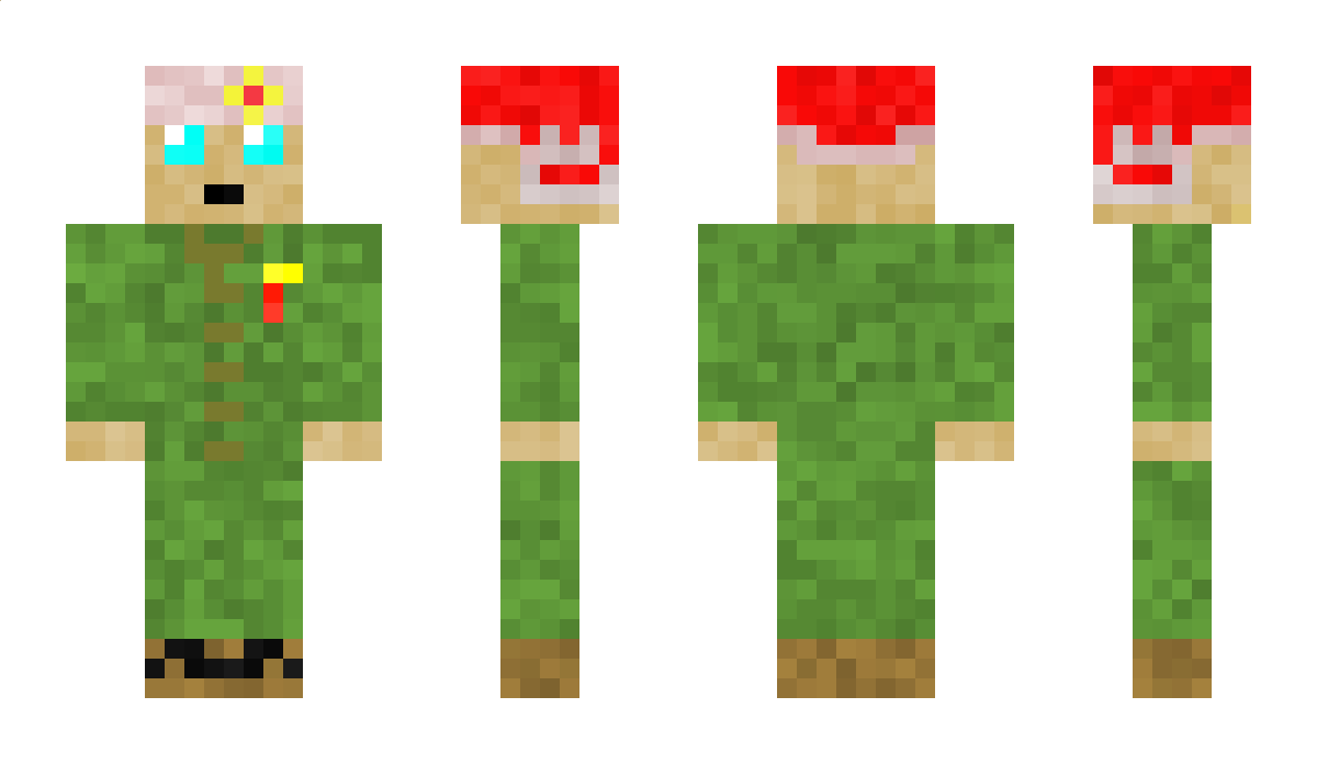 ciaparitto211 Minecraft Skin