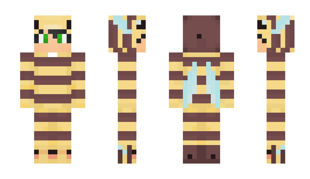 btej Minecraft Skin