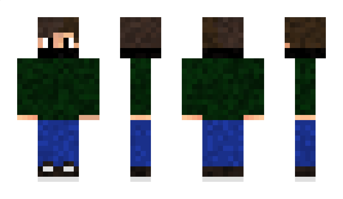 Cdin Minecraft Skin