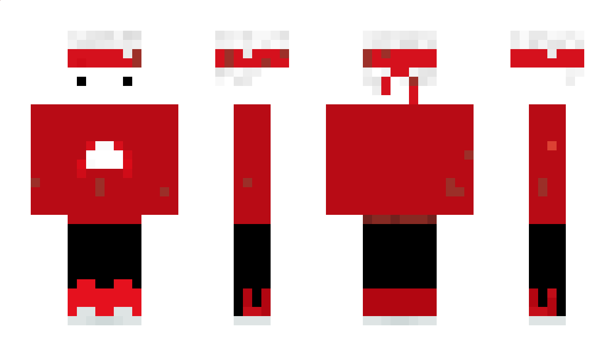 minimichi09 Minecraft Skin