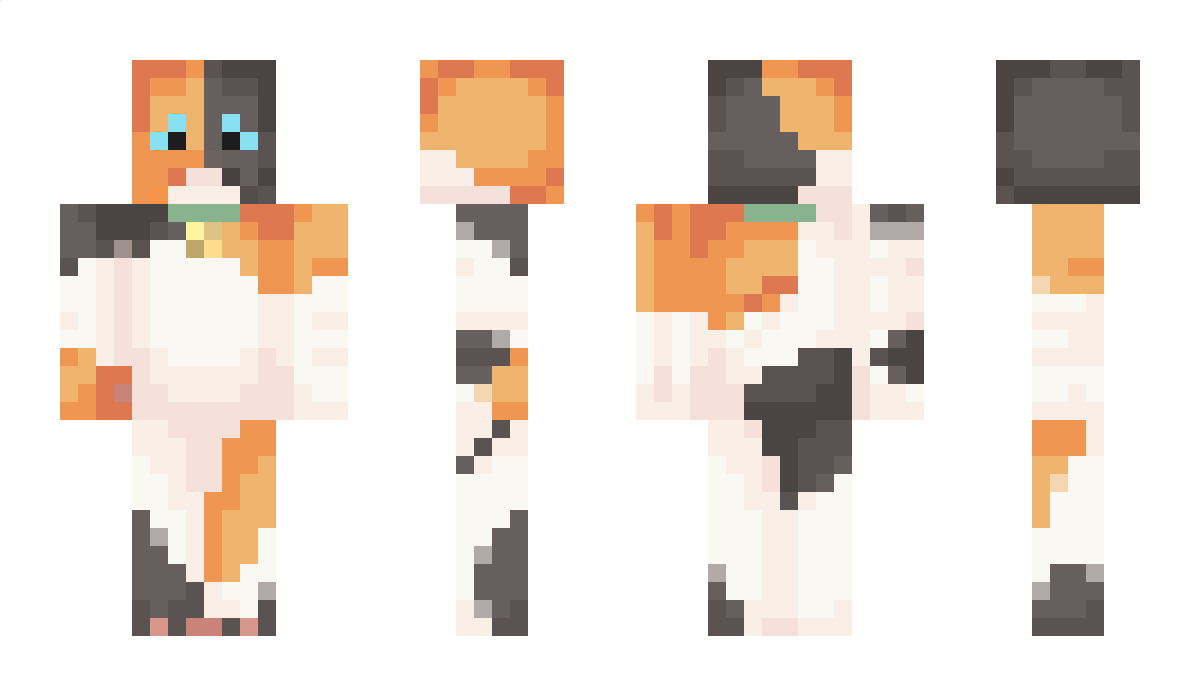 The_Astronot Minecraft Skin