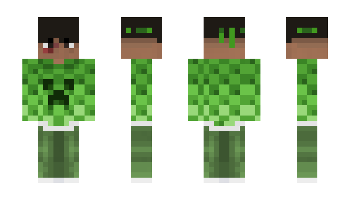 schweden Minecraft Skin