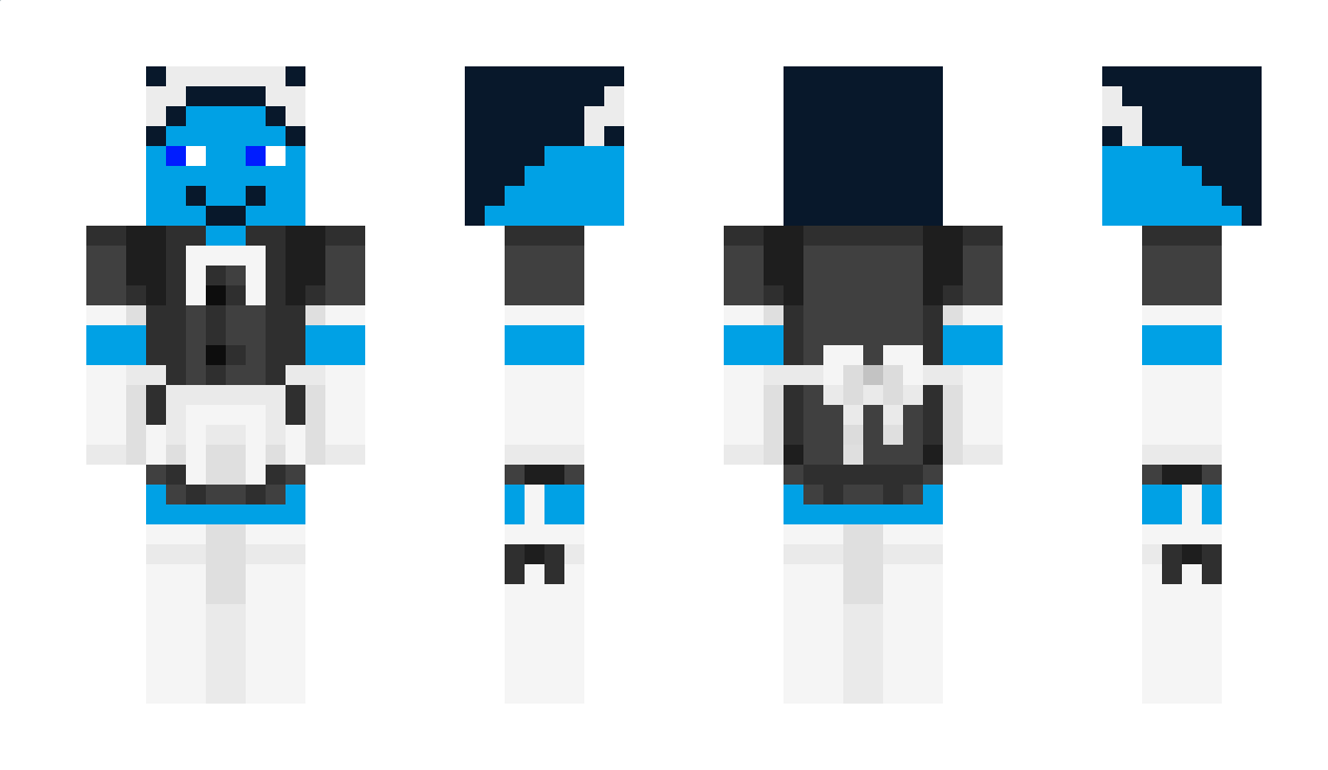 Cametendo_YT Minecraft Skin