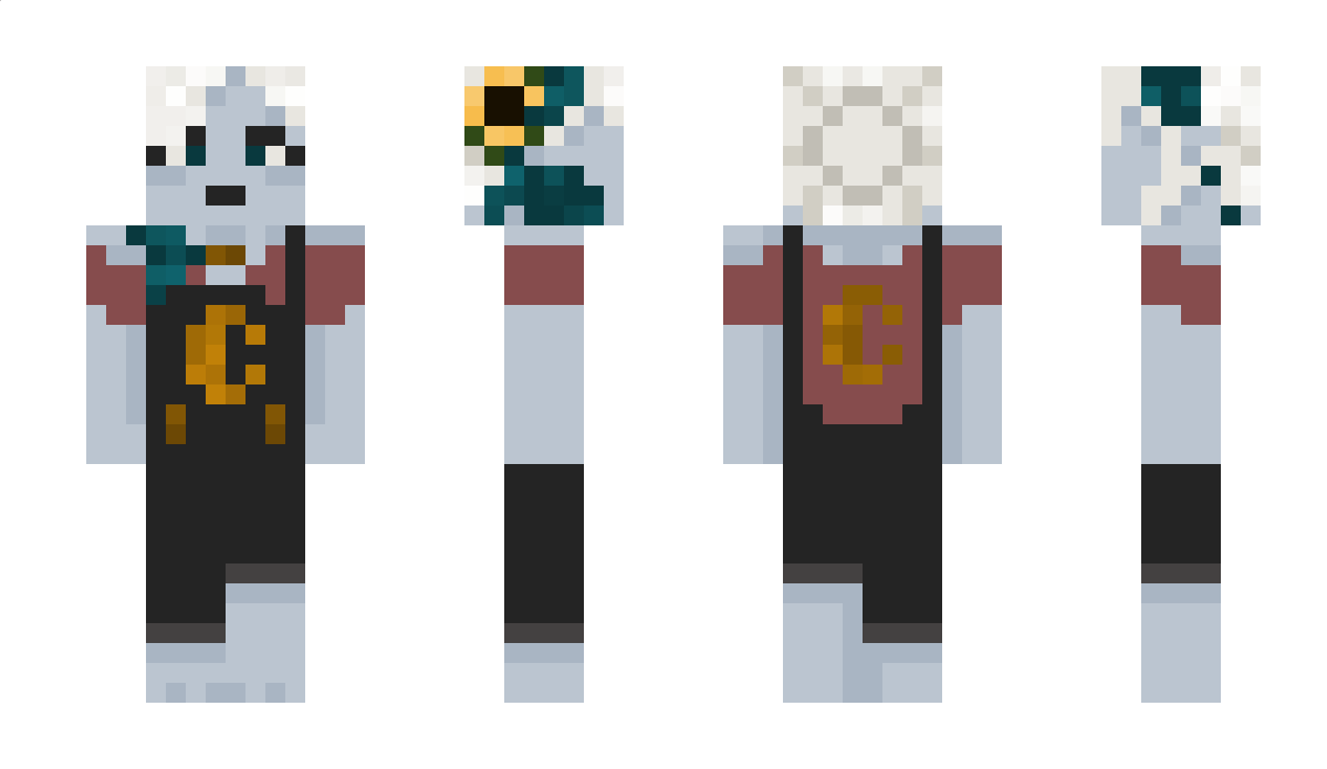 mullemit Minecraft Skin