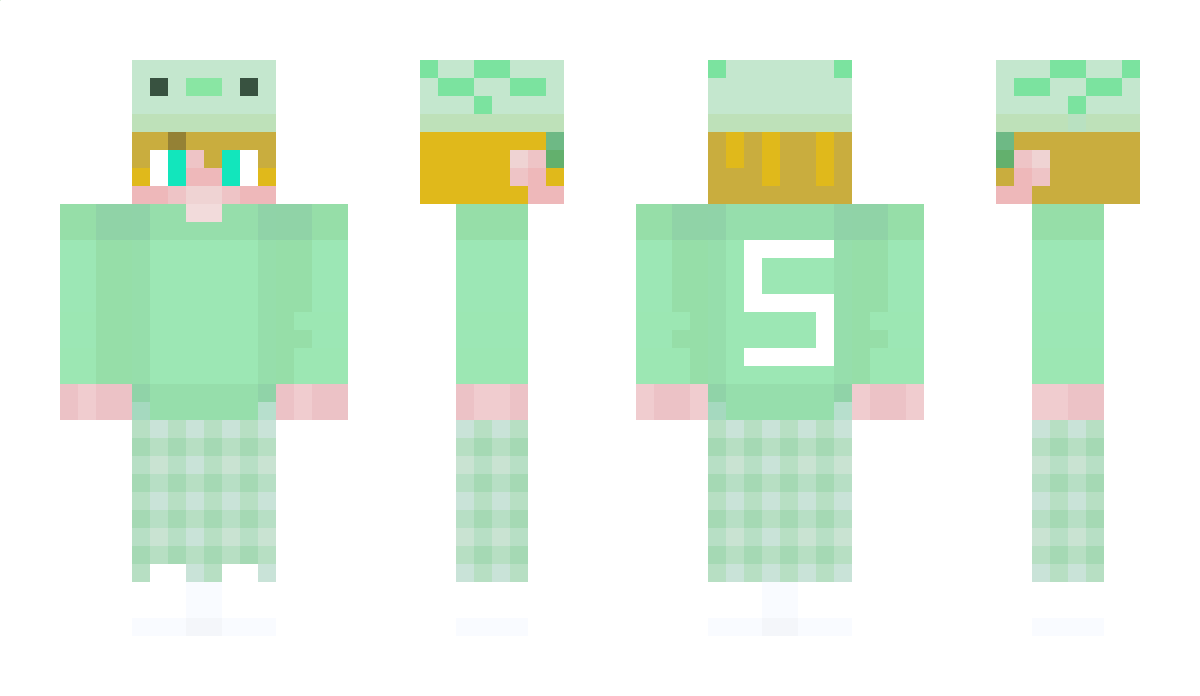 SANCO3891 Minecraft Skin