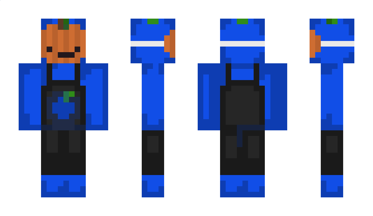 BioBlaubeere Minecraft Skin