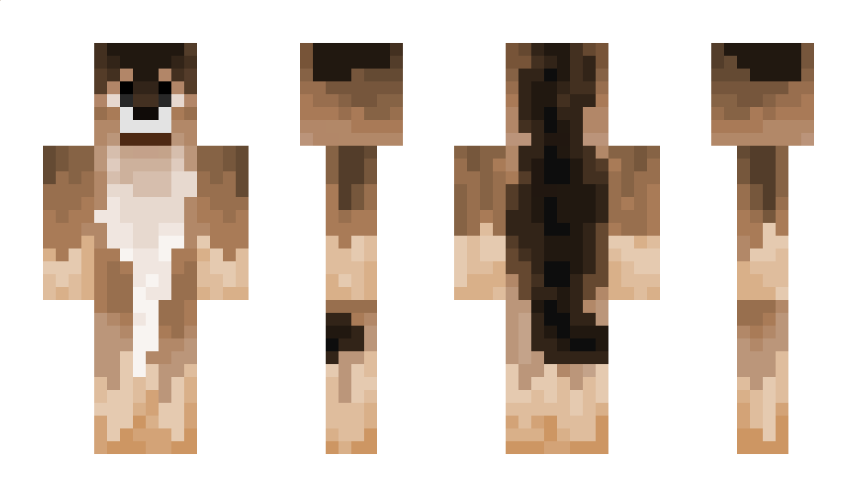 T451D Minecraft Skin
