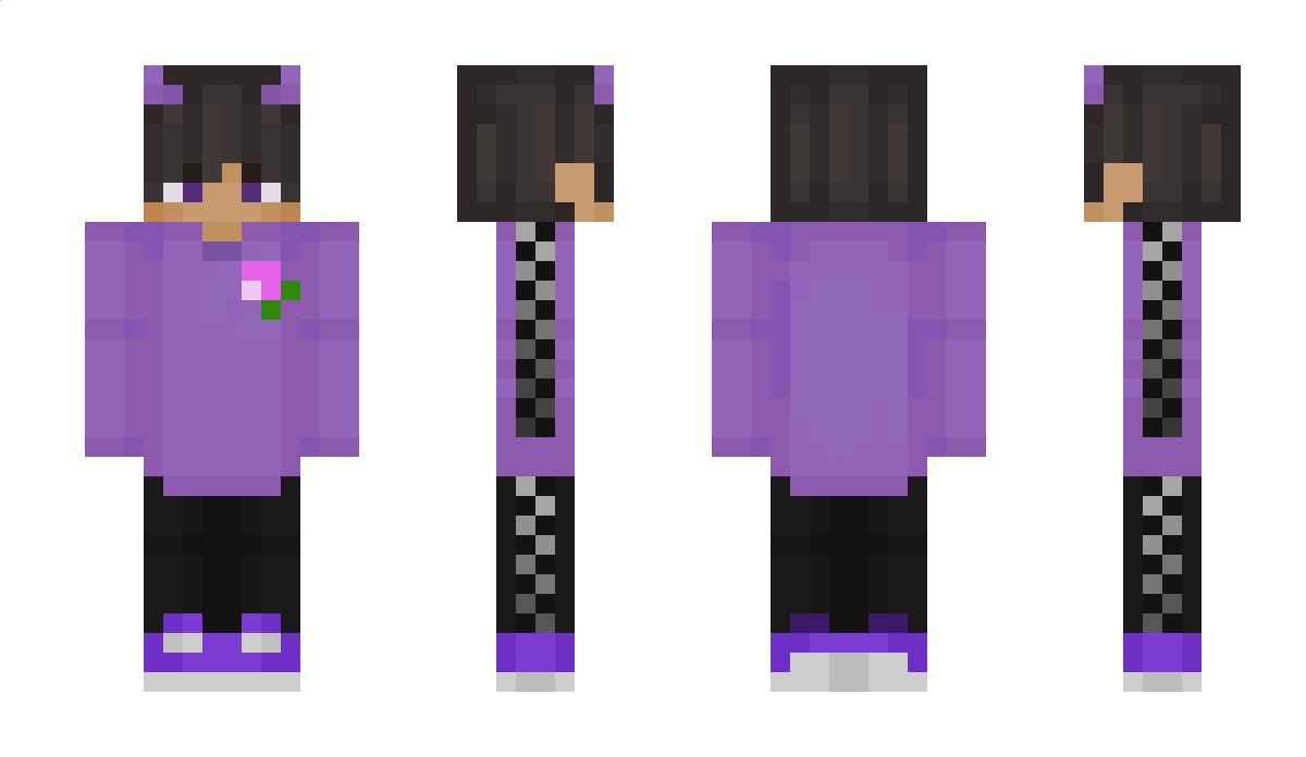 nsd Minecraft Skin