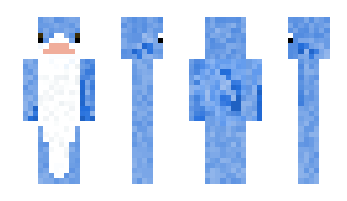 Hi3ghFish Minecraft Skin