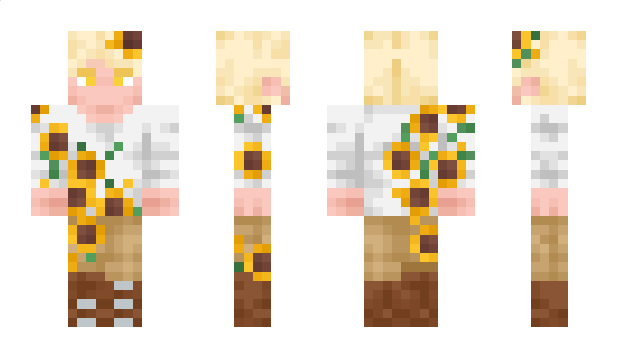 semkinN Minecraft Skin