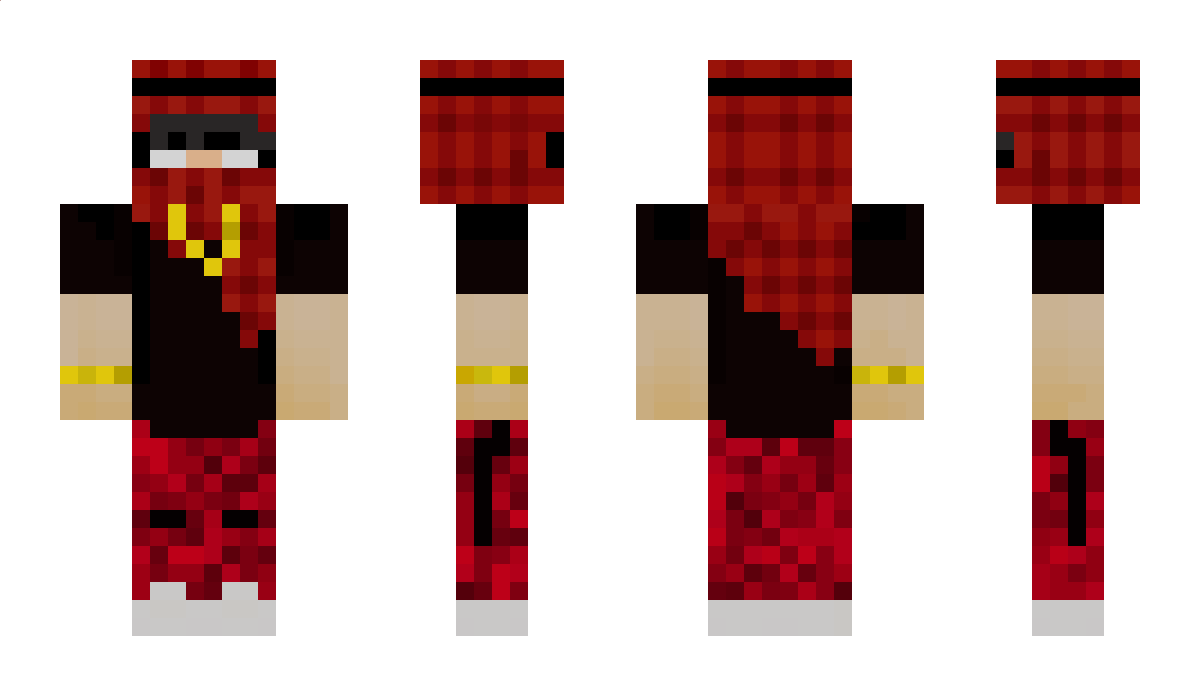 DGSD Minecraft Skin