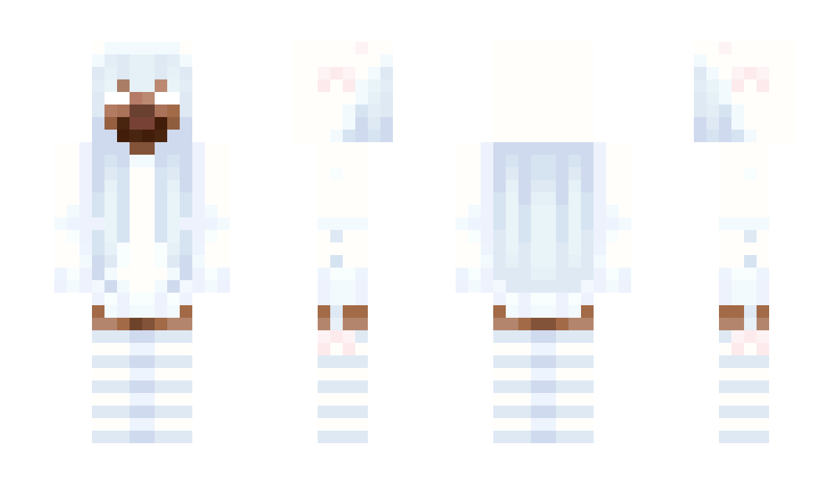 2O4O Minecraft Skin