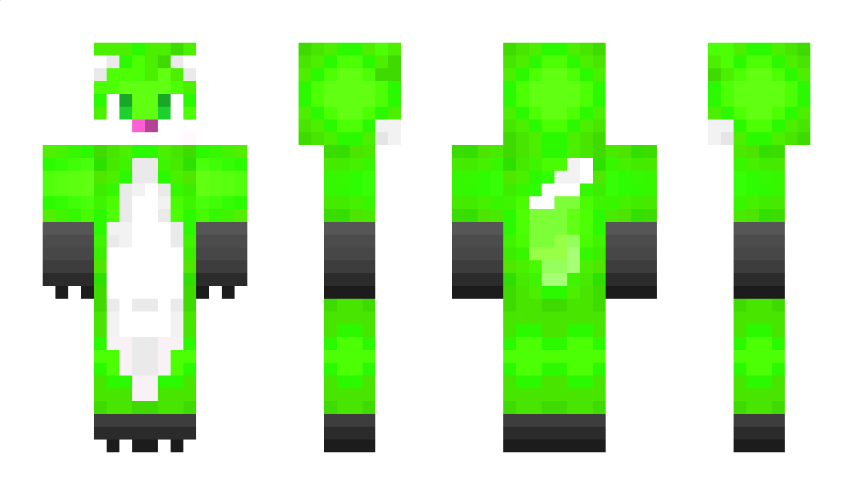 Lipot009 Minecraft Skin