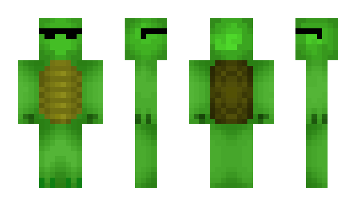 TurtleSam Minecraft Skin