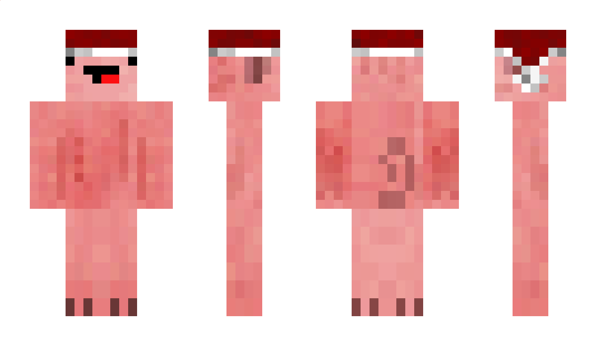 Venue Minecraft Skin