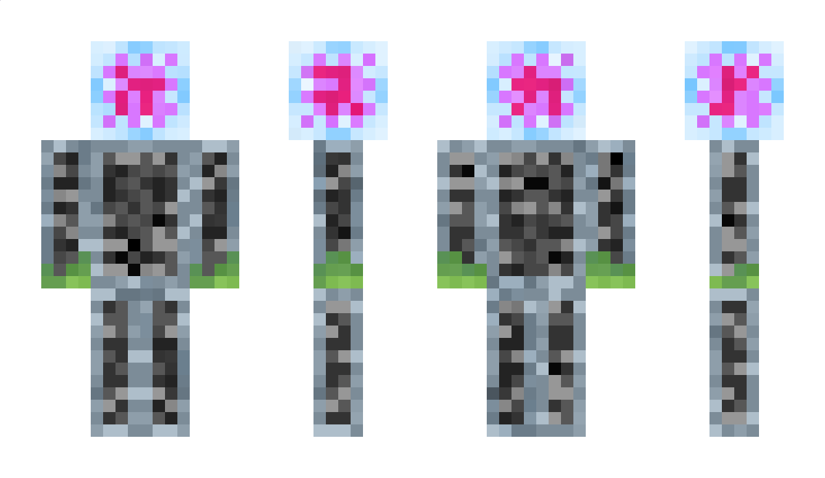 chpn Minecraft Skin