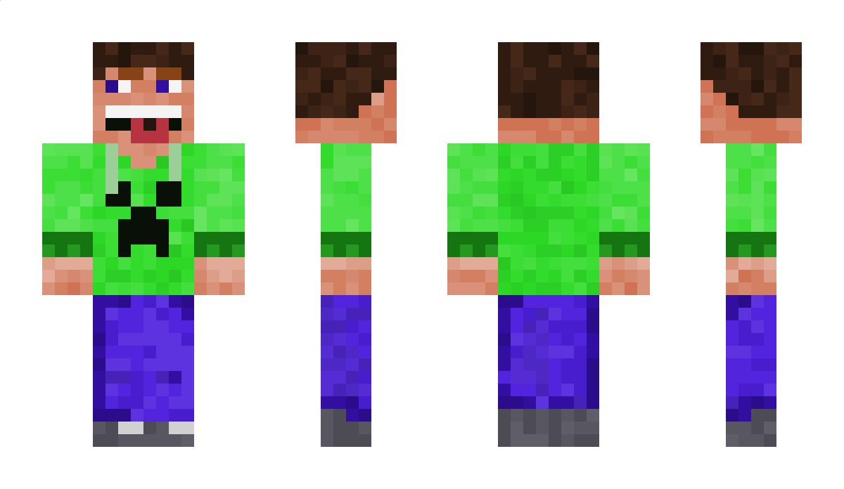 violimaster333 Minecraft Skin