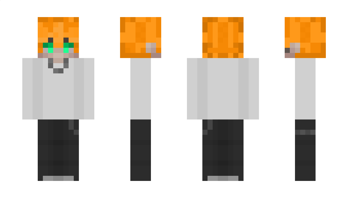 NuggetWhisperer Minecraft Skin