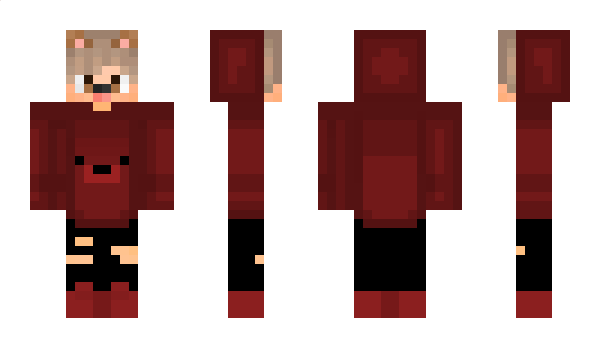 VeerspieltLP Minecraft Skin