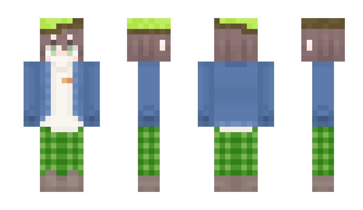 ray45610101 Minecraft Skin