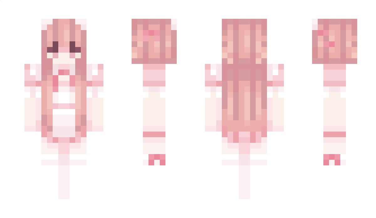 socj Minecraft Skin