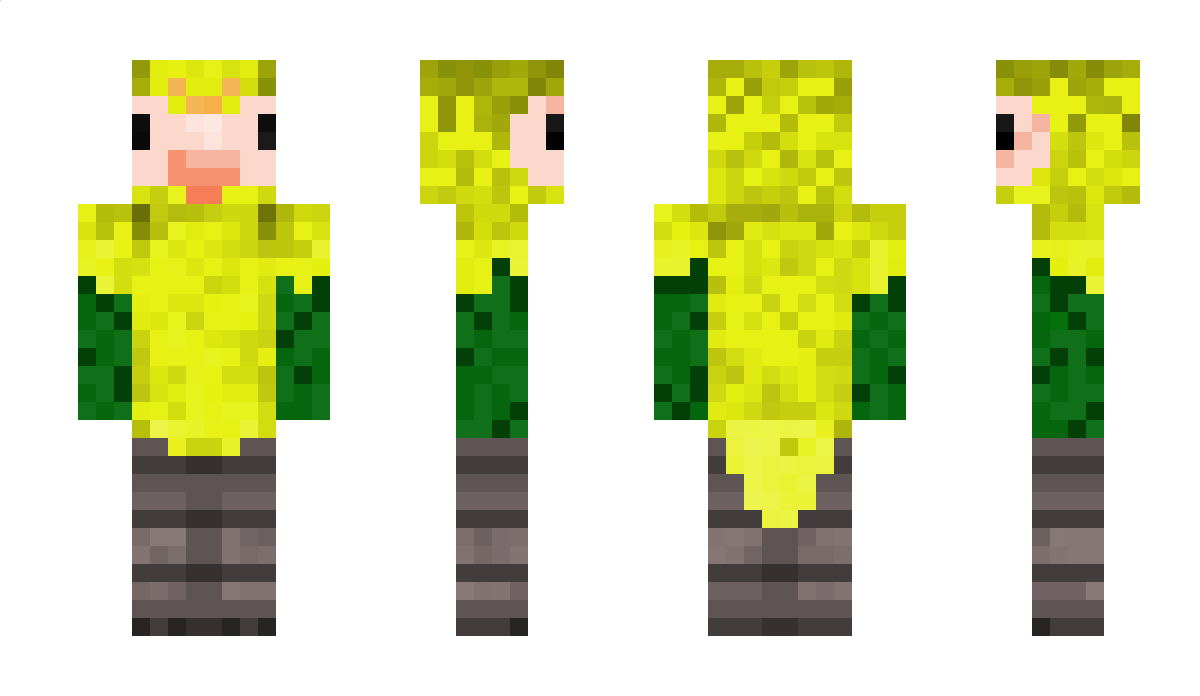 NOTEXSOTICXD Minecraft Skin