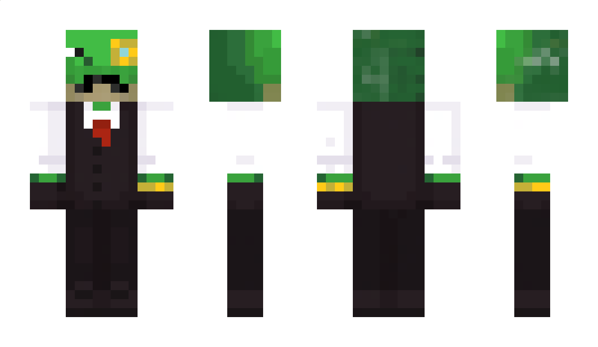 Snoopyninenine Minecraft Skin