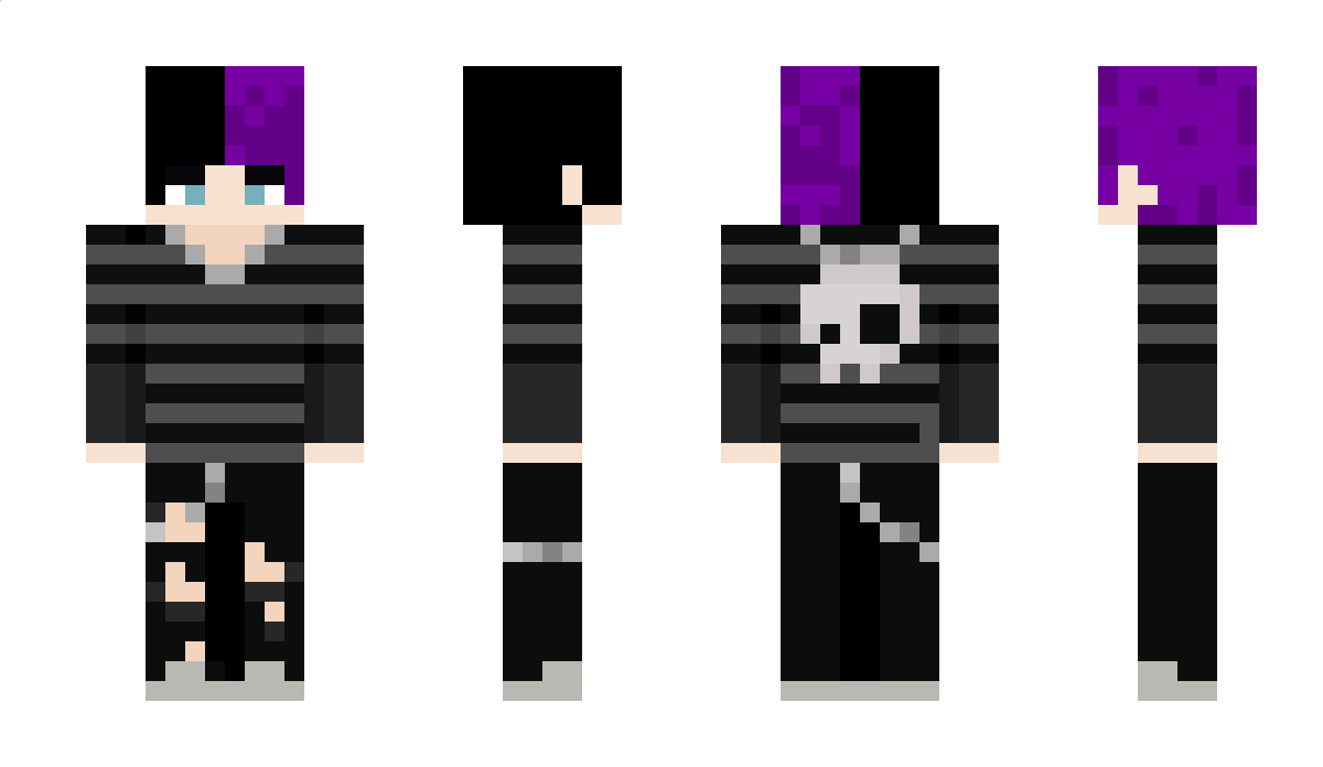 BasicBee_ Minecraft Skin