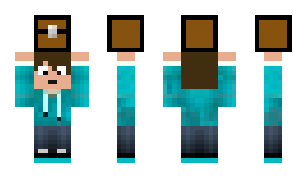 jogador1 Minecraft Skin