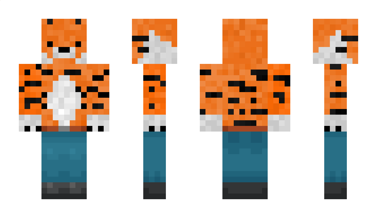 Tigr8 Minecraft Skin