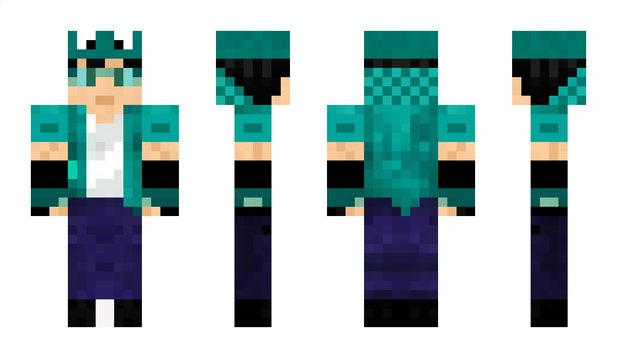 Pawkr Minecraft Skin