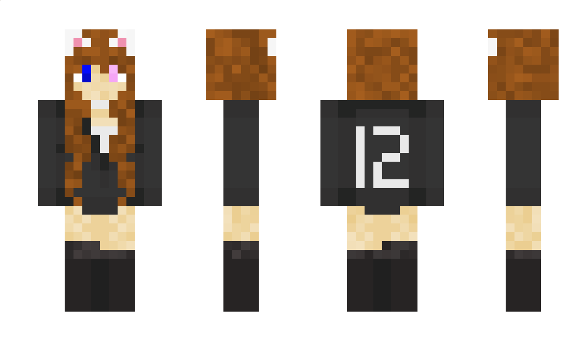 12vdub Minecraft Skin