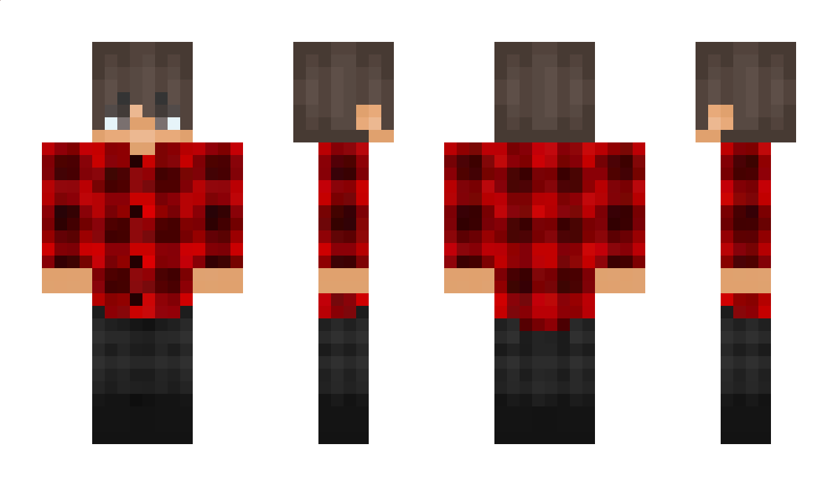 DrobSUS Minecraft Skin