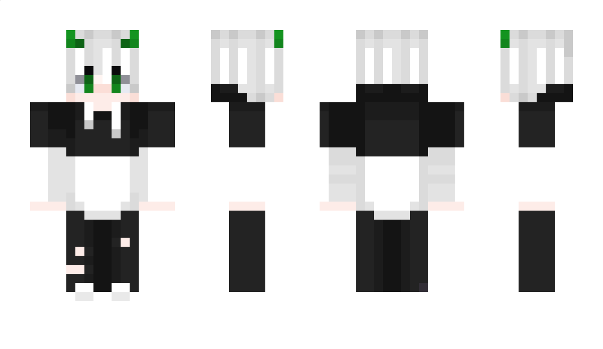 RexGamer9874 Minecraft Skin