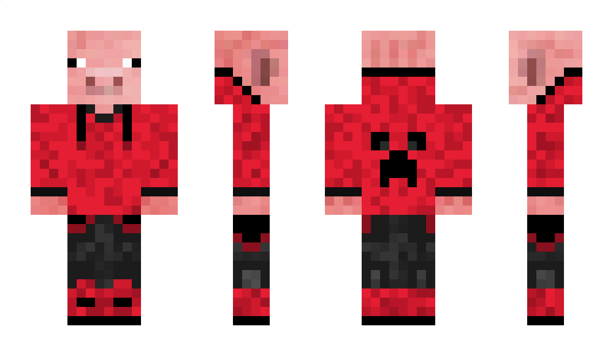 PG1511 Minecraft Skin