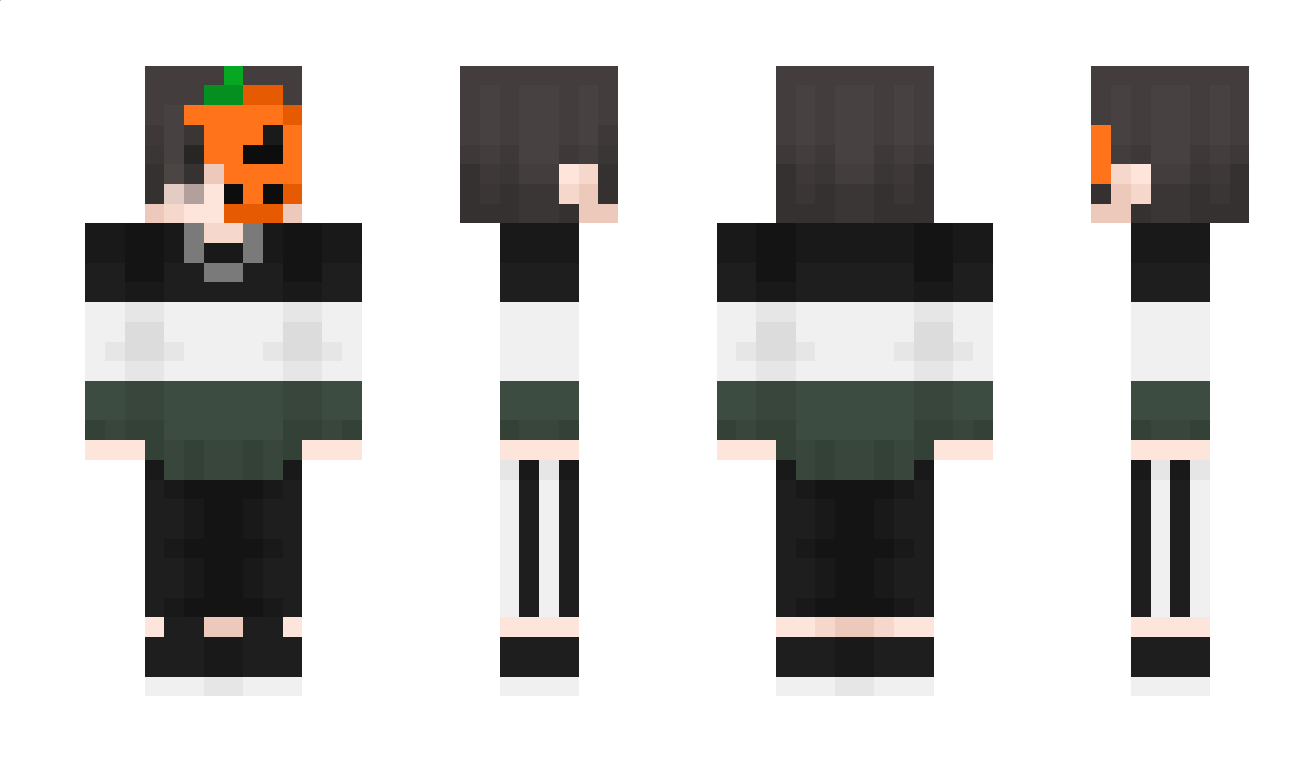 Alireza88Z Minecraft Skin