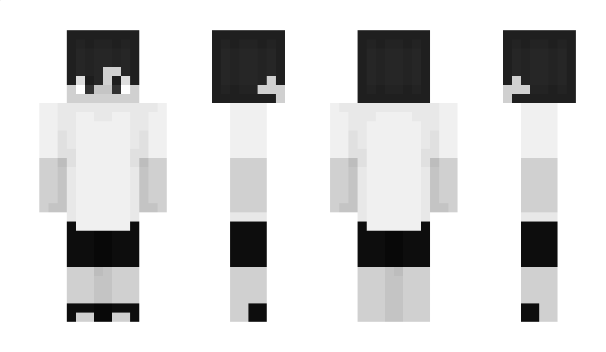 wjjr07 Minecraft Skin