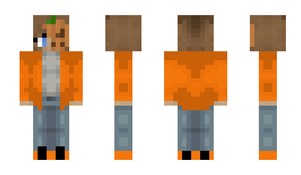 HamilCat1733 Minecraft Skin