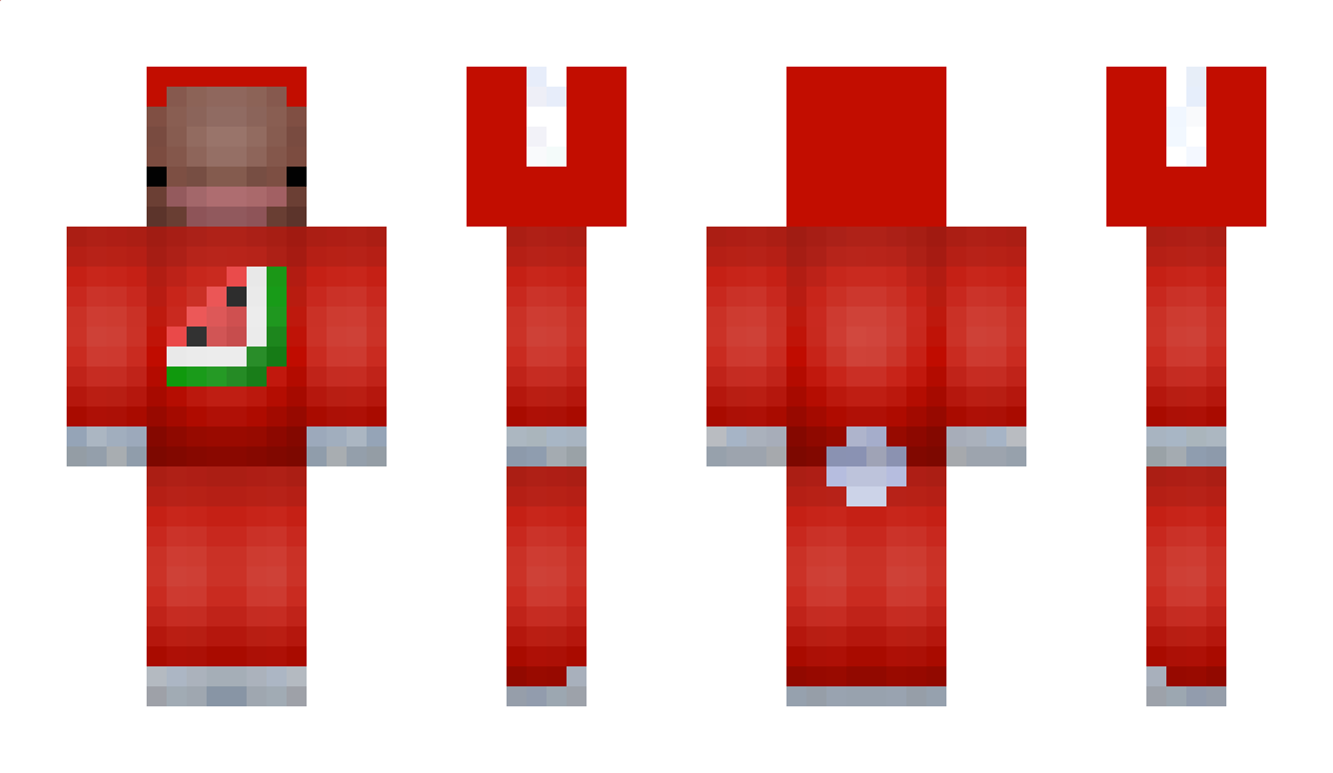 NIGS Minecraft Skin