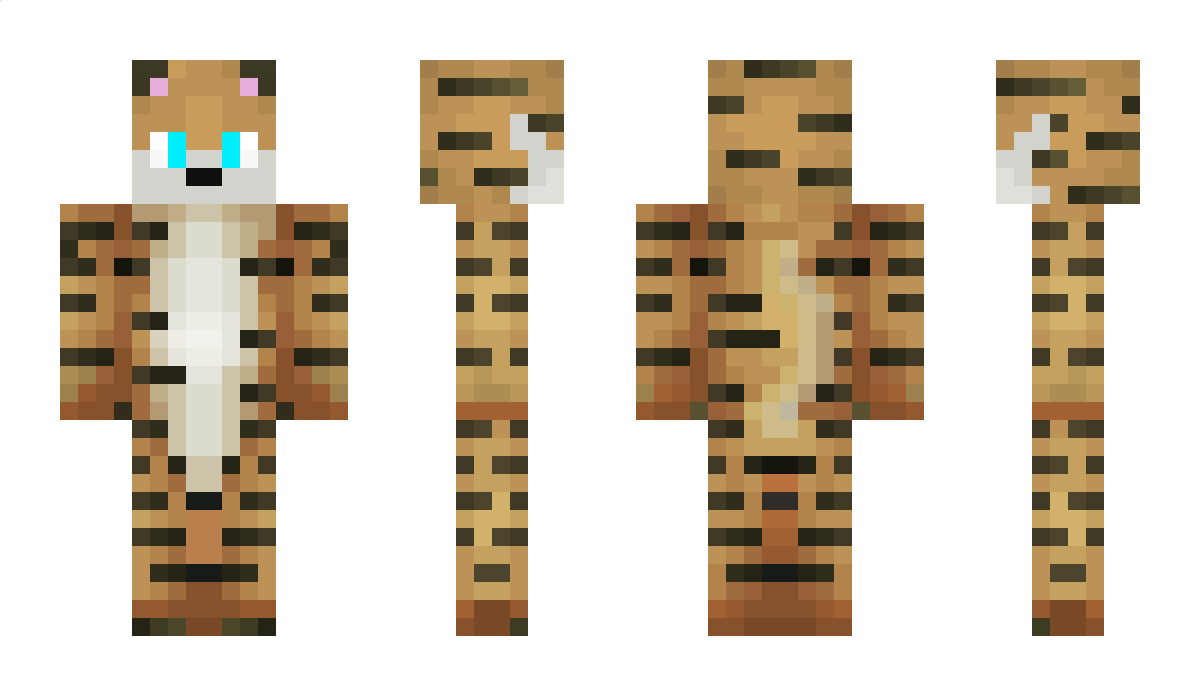 BroGamer Minecraft Skin