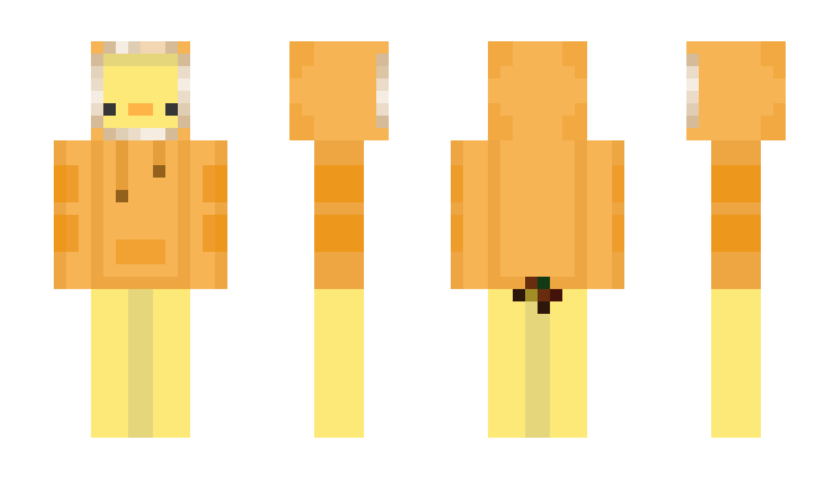 DuckHoodie Minecraft Skin