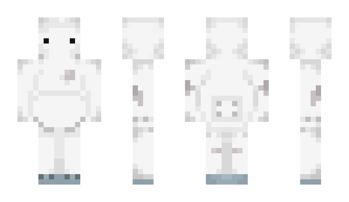 admin1 Minecraft Skin